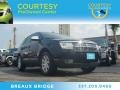 Black Clearcoat 2008 Lincoln MKX 