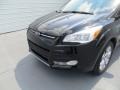 2014 Tuxedo Black Ford Escape SE 1.6L EcoBoost  photo #12
