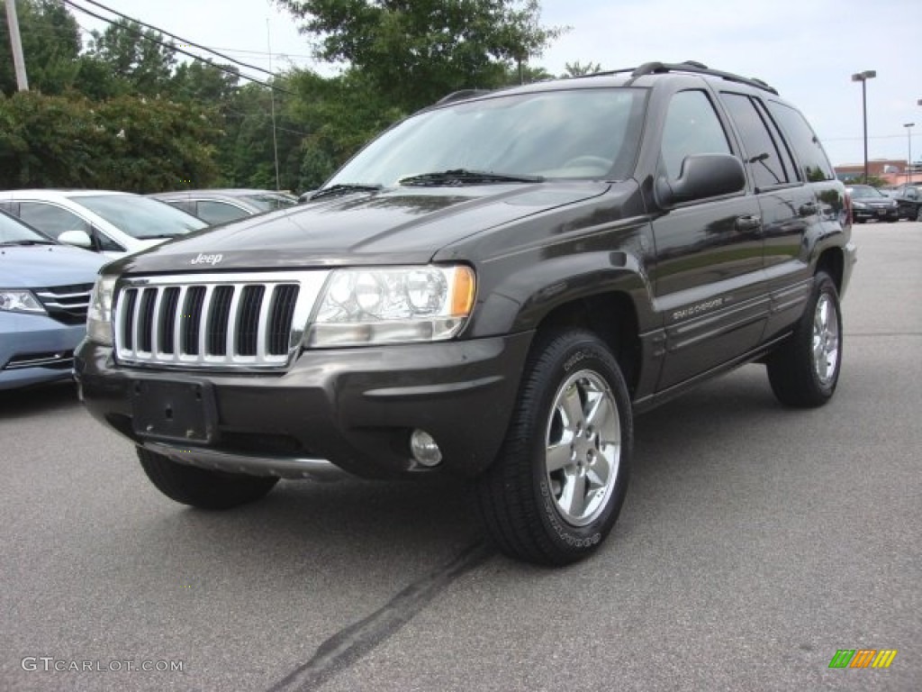 2004 Grand Cherokee Limited 4x4 - Dark Khaki Pearl / Taupe photo #1