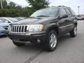 2004 Dark Khaki Pearl Jeep Grand Cherokee Limited 4x4  photo #1