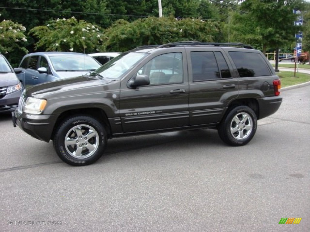 2004 Grand Cherokee Limited 4x4 - Dark Khaki Pearl / Taupe photo #3