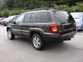2004 Dark Khaki Pearl Jeep Grand Cherokee Limited 4x4  photo #4