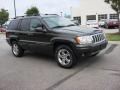 2004 Dark Khaki Pearl Jeep Grand Cherokee Limited 4x4  photo #7