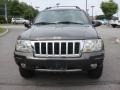 2004 Dark Khaki Pearl Jeep Grand Cherokee Limited 4x4  photo #9
