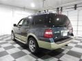 2009 Black Pearl Slate Metallic Ford Expedition Eddie Bauer  photo #5