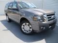 2014 Sterling Gray Ford Expedition Limited  photo #2