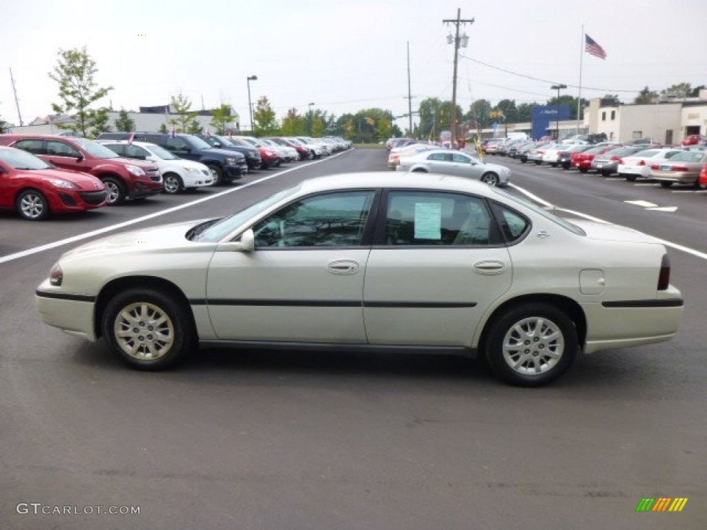 2004 Impala  - White / Medium Gray photo #4