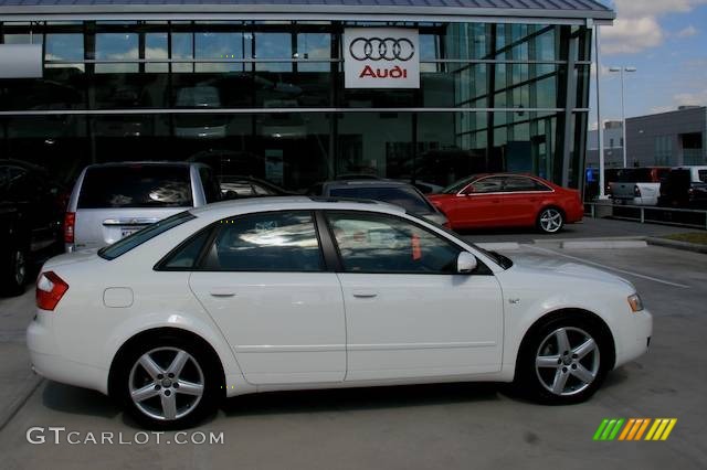 Arctic White Audi A4