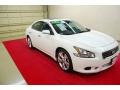 Winter Frost White - Maxima 3.5 SV Photo No. 1