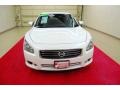 Winter Frost White - Maxima 3.5 SV Photo No. 2