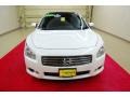 Winter Frost White - Maxima 3.5 SV Photo No. 2