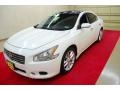 Winter Frost White - Maxima 3.5 SV Photo No. 3