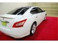 Winter Frost White - Maxima 3.5 SV Photo No. 6