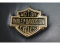 2001 Black Ford F150 Harley-Davidson SuperCrew  photo #21