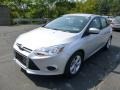 Ingot Silver - Focus SE Hatchback Photo No. 5