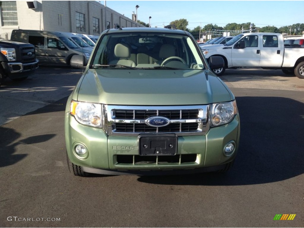 2008 Escape XLT V6 4WD - Kiwi Green Metallic / Stone photo #2