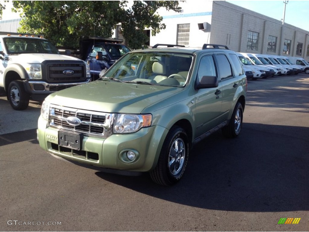 2008 Escape XLT V6 4WD - Kiwi Green Metallic / Stone photo #3