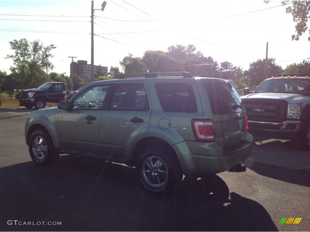 2008 Escape XLT V6 4WD - Kiwi Green Metallic / Stone photo #5