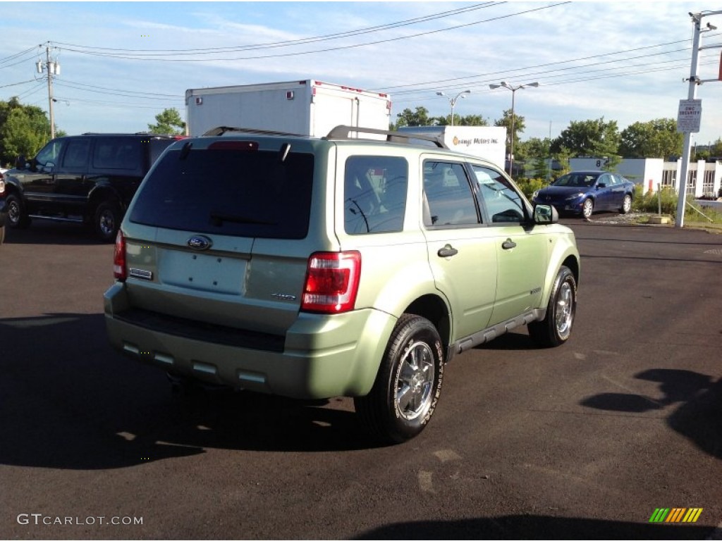 2008 Escape XLT V6 4WD - Kiwi Green Metallic / Stone photo #7