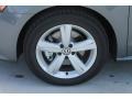 Platinum Gray Metallic - Passat 2.5L SE Photo No. 4