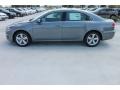 Platinum Gray Metallic - Passat 2.5L SE Photo No. 5