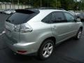 Millennium Silver Metallic - RX 350 AWD Photo No. 11