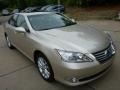 Satin Cashmere Metallic - ES 350 Photo No. 3