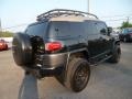 Black Diamond - FJ Cruiser 4WD Photo No. 7