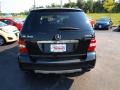 Black - ML 350 4Matic Photo No. 6