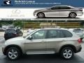 Platinum Bronze Metallic - X5 3.0si Photo No. 1