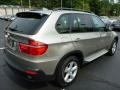 Platinum Bronze Metallic - X5 3.0si Photo No. 11