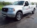 2006 Silver Metallic Ford F150 XLT SuperCab 4x4  photo #2