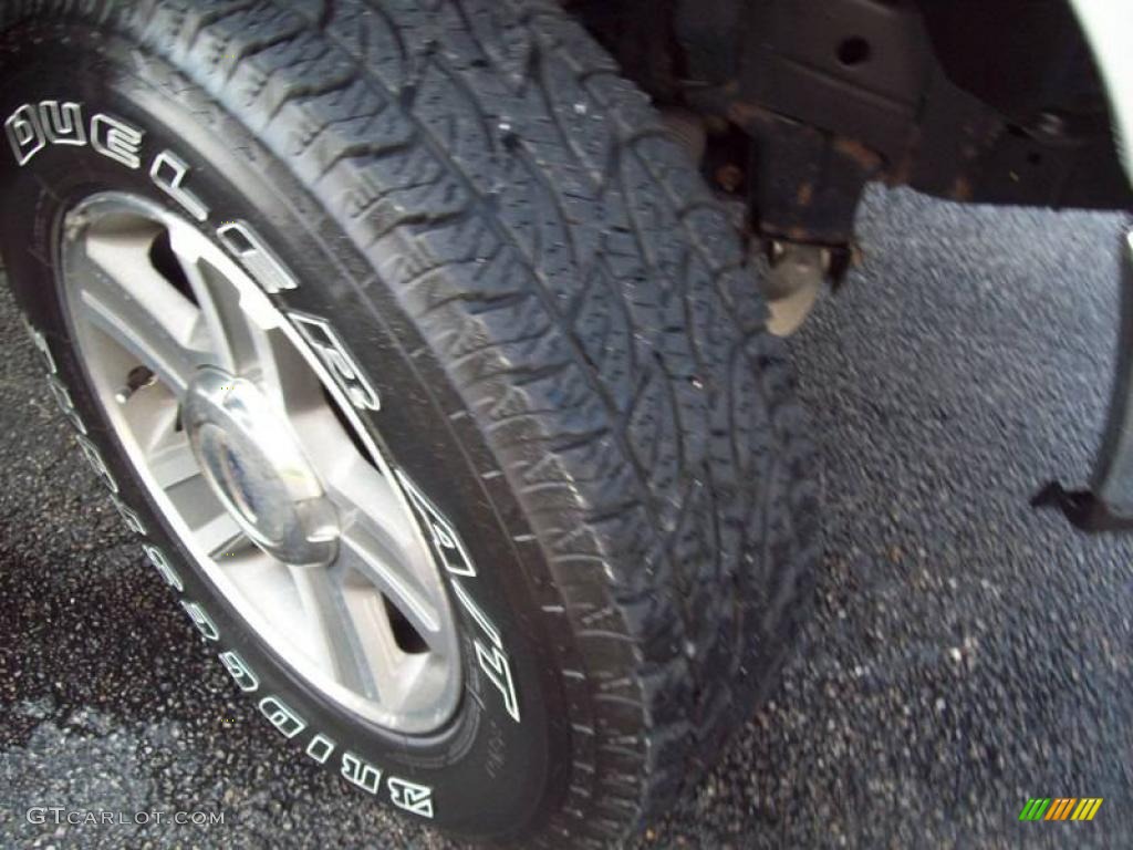2006 F150 XLT SuperCab 4x4 - Silver Metallic / Medium Flint photo #9