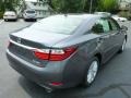 Nebula Gray Pearl - ES 350 Photo No. 4