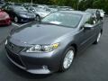 Nebula Gray Pearl - ES 350 Photo No. 8