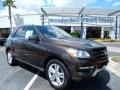 Dakota Brown Metallic - ML 350 Photo No. 1