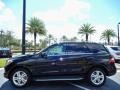 Black 2014 Mercedes-Benz ML 350 BlueTEC 4Matic Exterior
