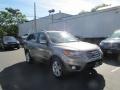 Mineral Gray - Santa Fe Limited AWD Photo No. 2