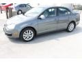 Platinum Grey Metallic - Jetta SE Sedan Photo No. 5