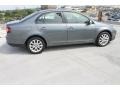 Platinum Grey Metallic - Jetta SE Sedan Photo No. 11