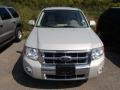 2008 Light Sage Metallic Ford Escape Limited 4WD  photo #2