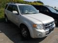 2008 Light Sage Metallic Ford Escape Limited 4WD  photo #3