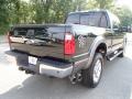 Green Gem Metallic - F350 Super Duty Lariat Crew Cab 4x4 Photo No. 6