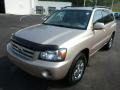 Vintage Gold Metallic - Highlander V6 Photo No. 7
