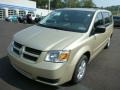 White Gold Pearl - Grand Caravan SE Hero Photo No. 7