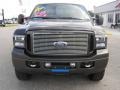 2007 Dark Stone Metallic Ford F250 Super Duty Harley Davidson Crew Cab 4x4  photo #8