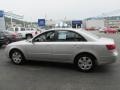 Bright Silver - Sonata GLS Photo No. 6
