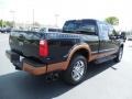 Black - F250 Super Duty Harley Davidson Crew Cab 4x4 Photo No. 8