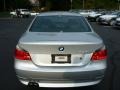 Titanium Silver Metallic - 5 Series 525xi Sedan Photo No. 19