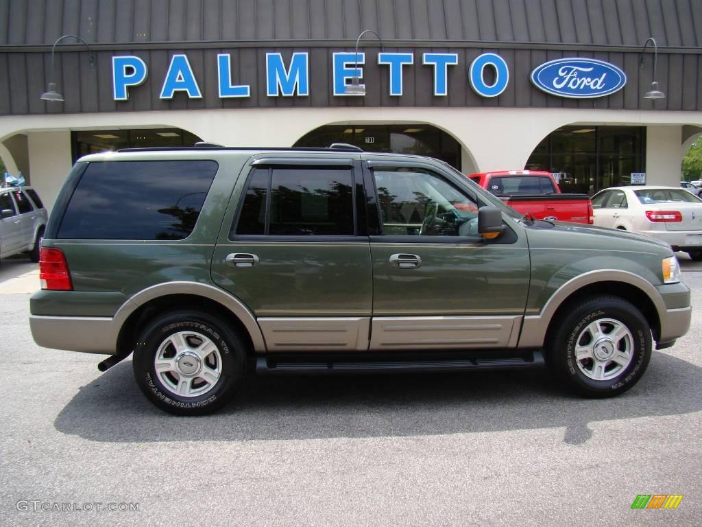 Estate Green Metallic Ford Expedition